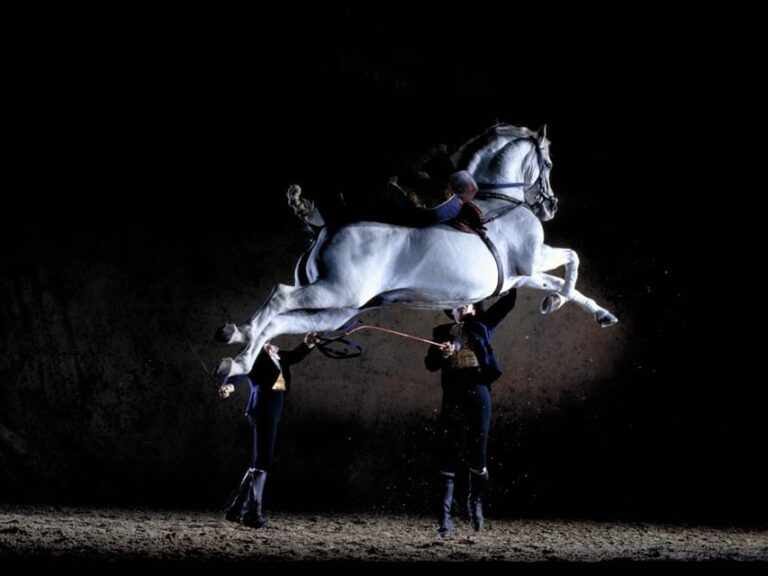 Jerez: Historic Center of Jerez and Horse Show