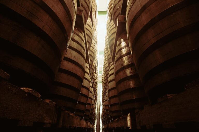Jerez: Tour Bodegas Páez Morilla SPANISH/GERMAN