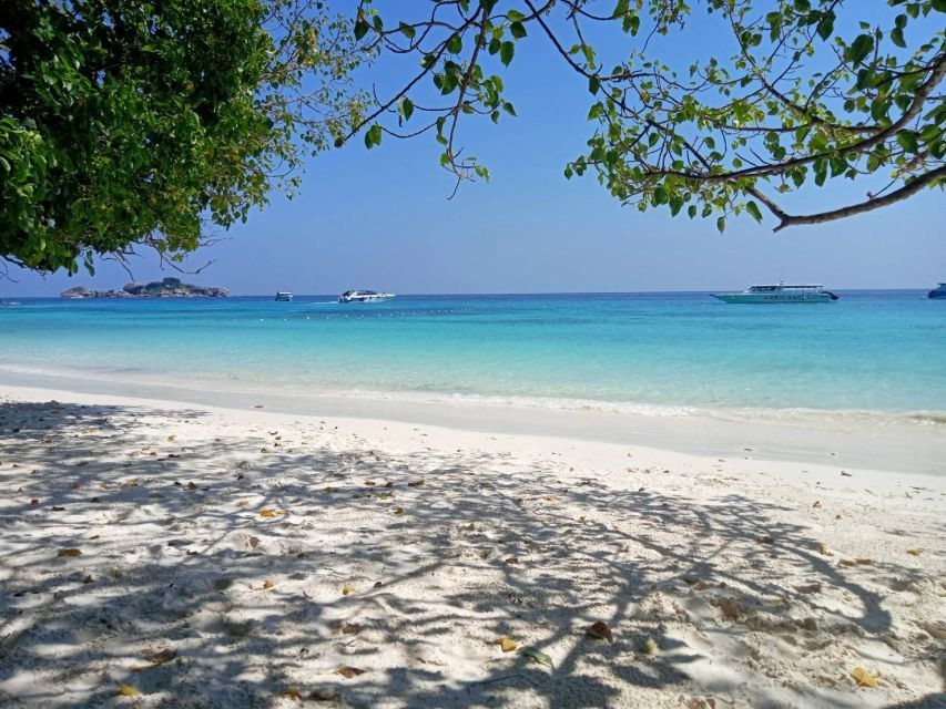 Khao Lak/Phuket: Similan by Speedcatamaran 16 People MAXIMUM - Tour Details