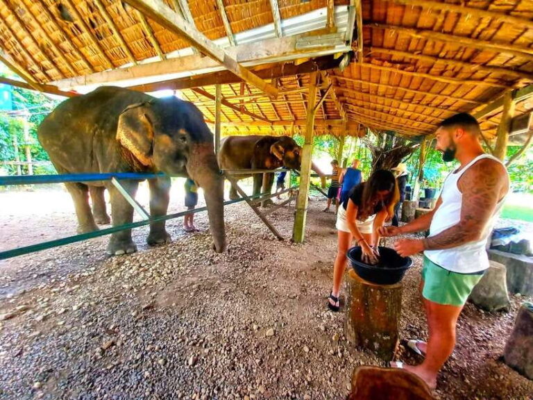 Khao Sok: Elephant Day Care, & Bamboo Rafting Day Tour