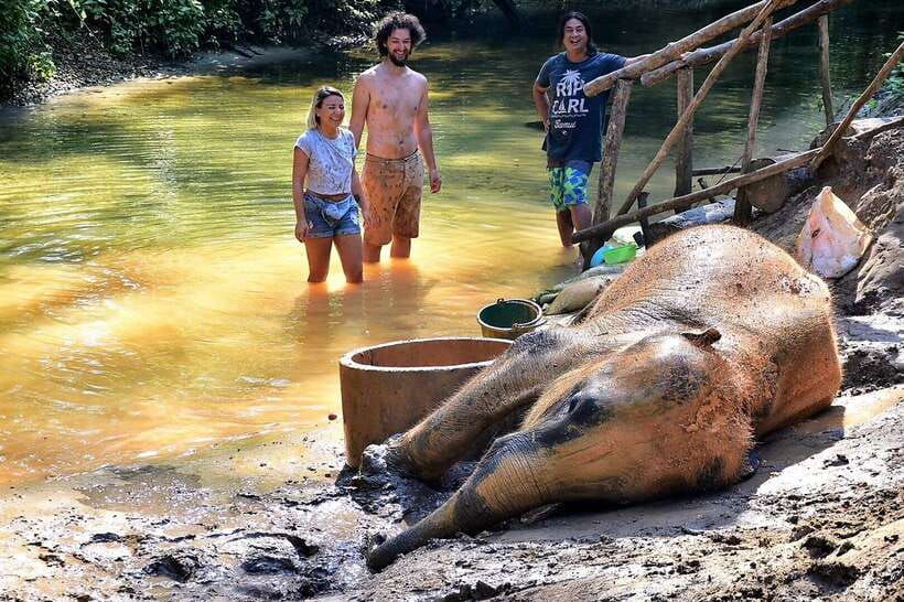 Khaolak: Elephant Interaction in Sanctuary With Bamboo Raft - Overview and Pricing