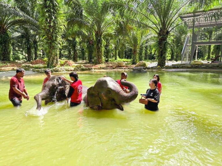 KhaoLak :White Water Rafting ,Monkey Cave, Elephant Bathing
