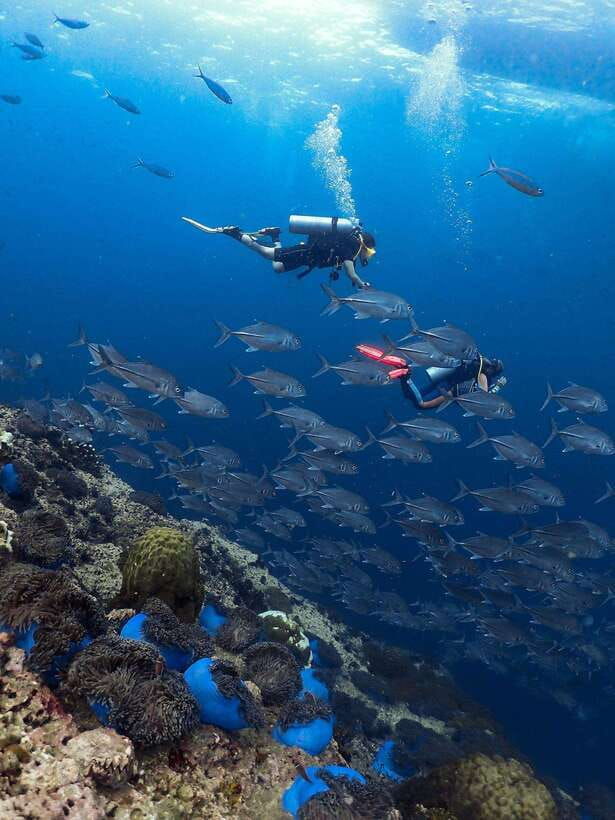 Koh Samui: Discovery Dive to Koh Tao or Sail Rock