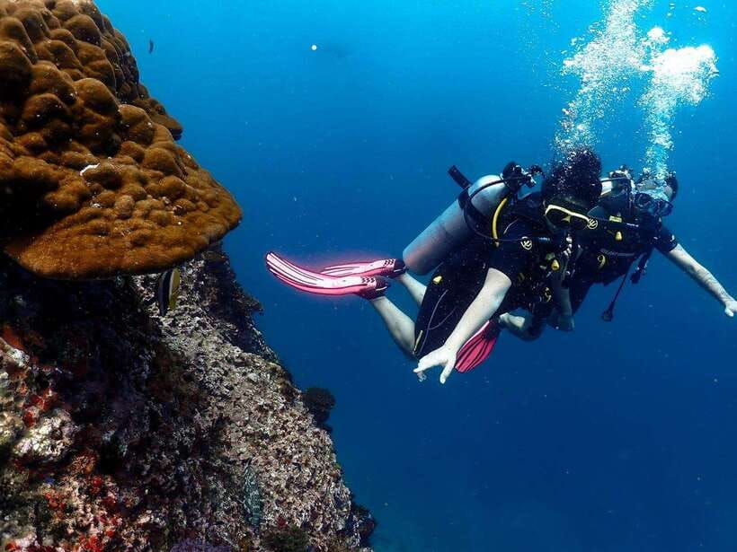 Koh Samui: Dive Tour Chumphon Pinnacles - Tour Overview and Pricing