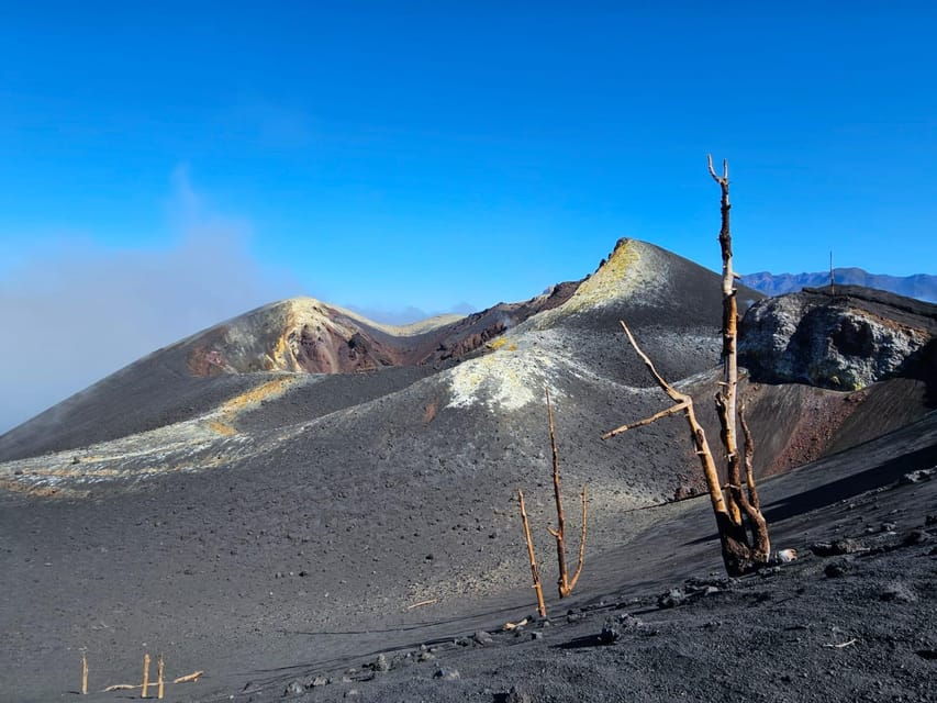 La Palma: Tour to the New Tajogaite Volcano 360º. - Tour Overview