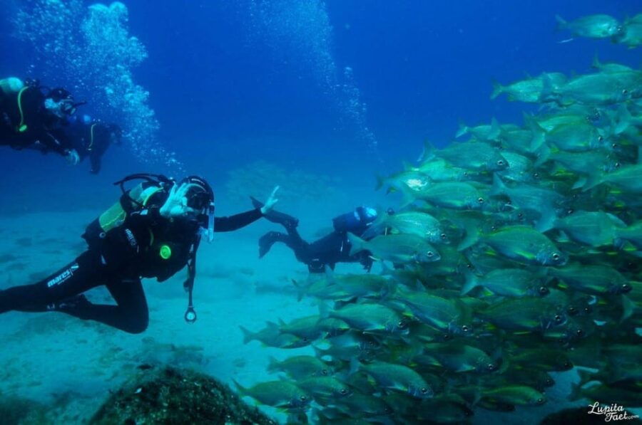 Lanzarote: Snorkeling Tour With Snack and Water - Tour Overview