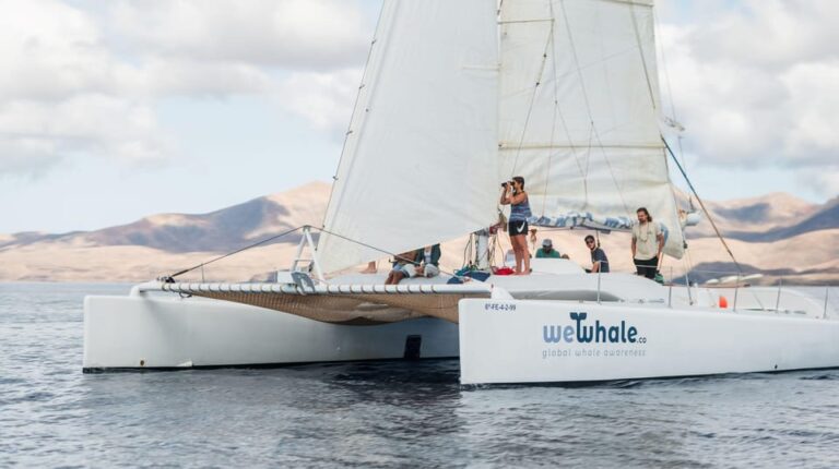 Lanzarote: Whale and Dolphin Watching Eco-Friendly Catamaran