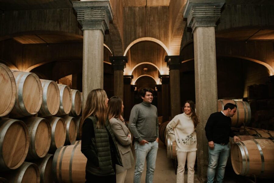 Logroño: Guided Visit With Tasting of 3 Wines and Aperitif at Viña Ijalba. - Activity Overview