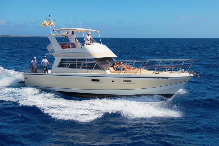Los Cristianos: Whale Watching Tour and Swimming in the Sea on a Yacht for 22 Persons