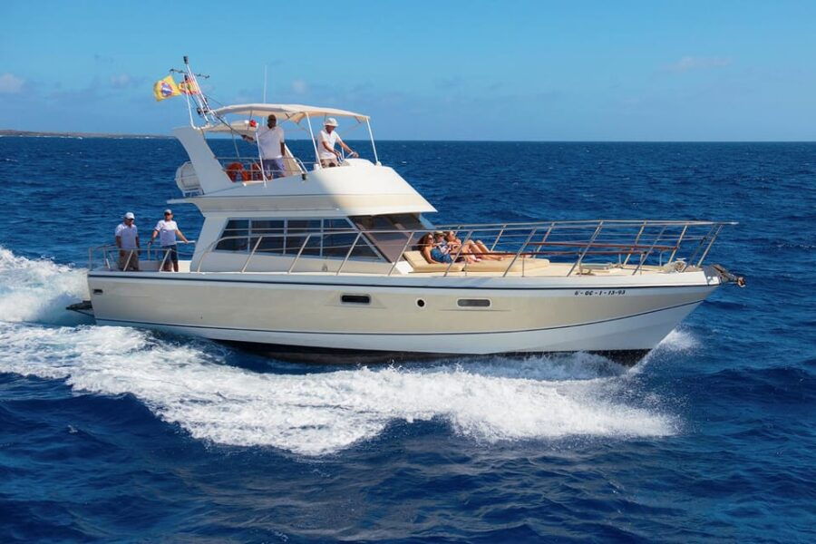 Los Cristianos: Whale Watching Tour and Swimming in the Sea on a Yacht for 22 Persons - Itinerary and Activities