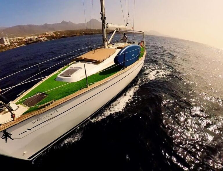 Luxury Dolphin Boat Excursions From Puerto Colon, Tenerife