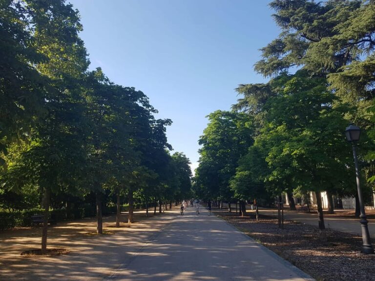 Madrid Bike Tour With Churros Plus Ham & Wine Tasting Option