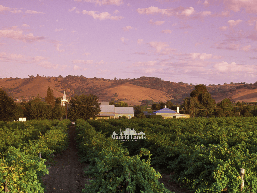 Madrid: Luxury Winery Emilio Moro Tour - Tour Overview and Pricing