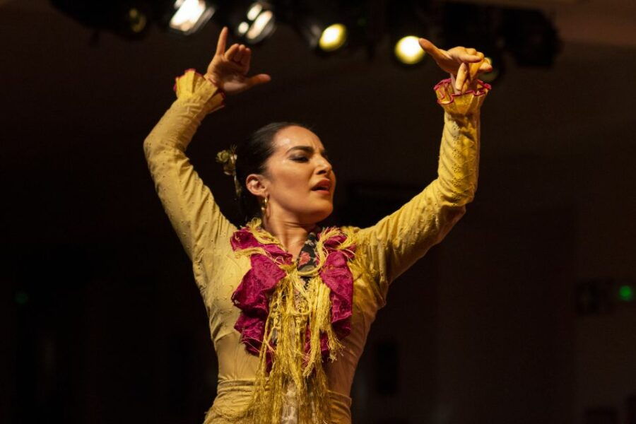 Madrid: The Villa Flamenco Show Tablao - Overview of the Flamenco Experience