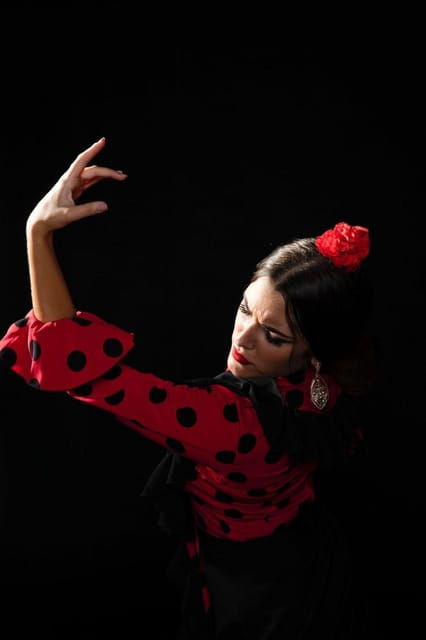 Malaga: Authentic Flamenco Dinner Show at Vino Mio - Experience Overview