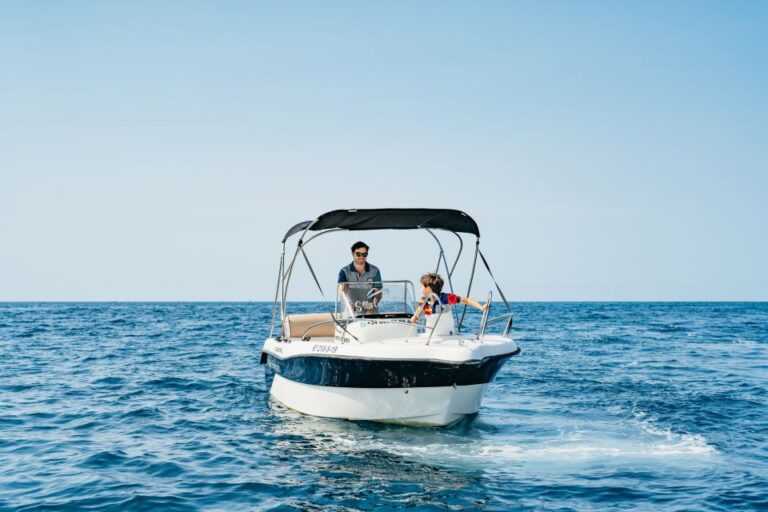 Malaga: Boat Rental Without a License for Dolphin Watching