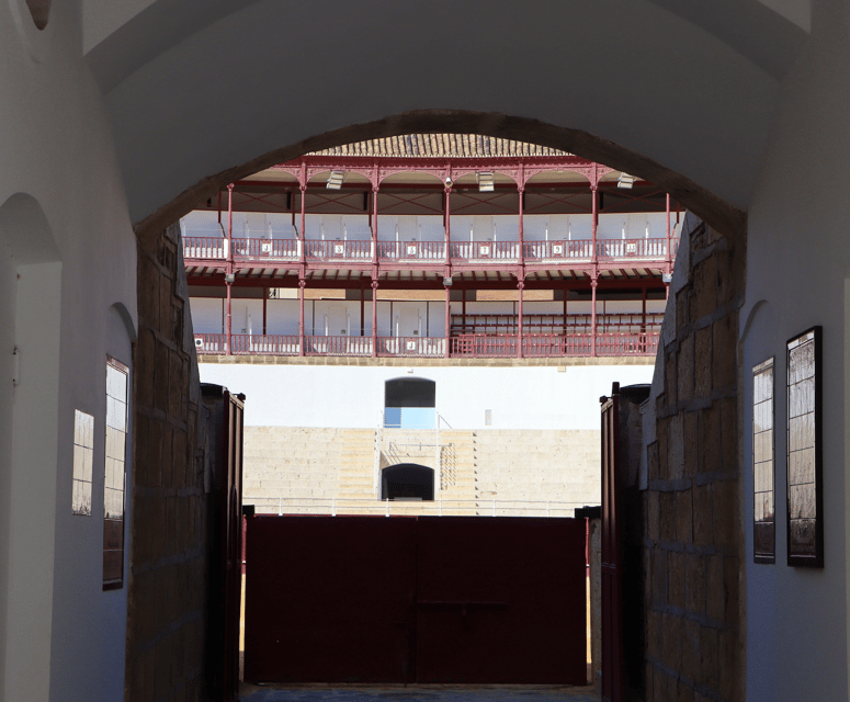 Malaga: Private Guided Visit Plaza De Toros + Exhibition Center - Activity Overview