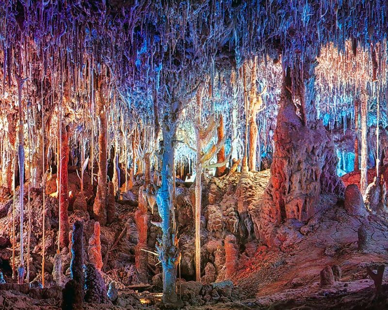 Mallorca: Dinosaurland and Caves of Hams Combined Ticket - Ticket Details and Pricing