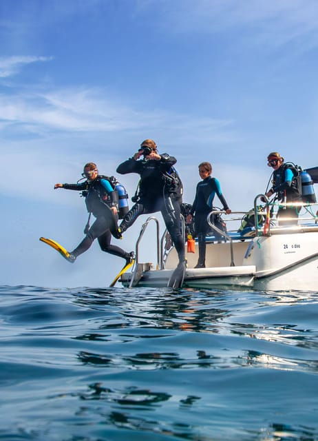 Mallorca: Scuba Diving – a Dive From the Boat (For Certified Divers)