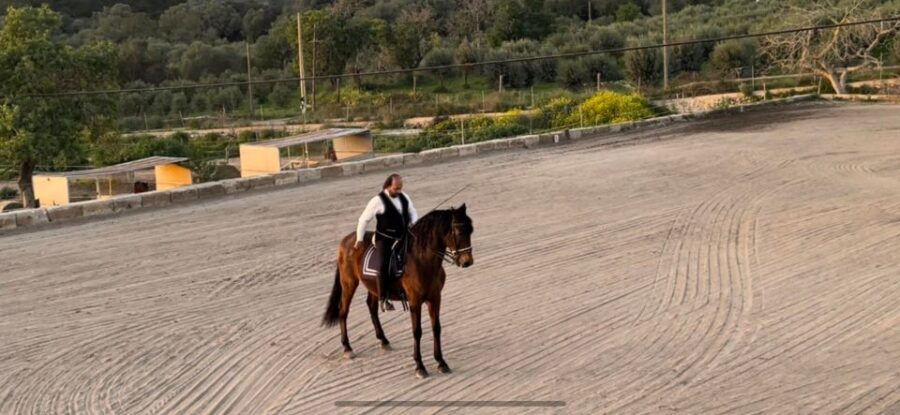 Mallorca: Sunset & Spanish Riding School Show - Experience the Sunset Ride