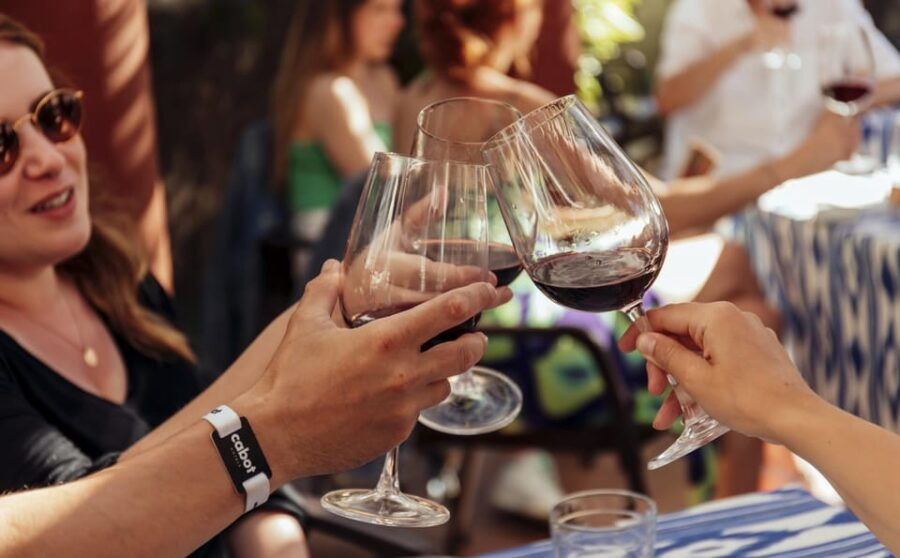 Mallorca Wine Tasting Experience: 4 Wines & Cheese - Experience Overview