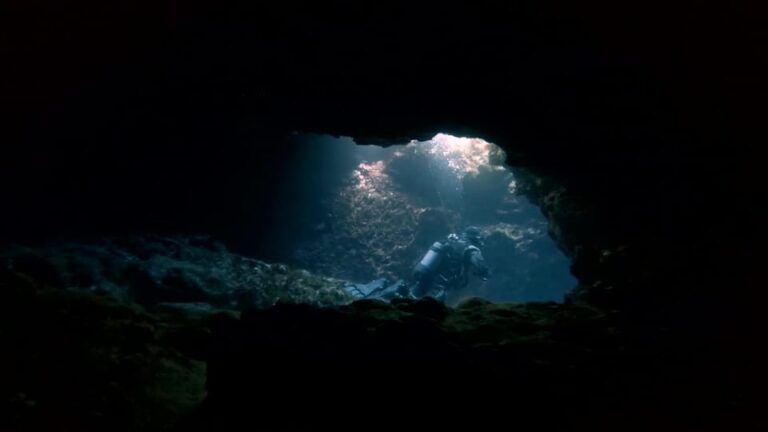 Malta: 2 Guided Dives for Certified Divers With Diving Gear