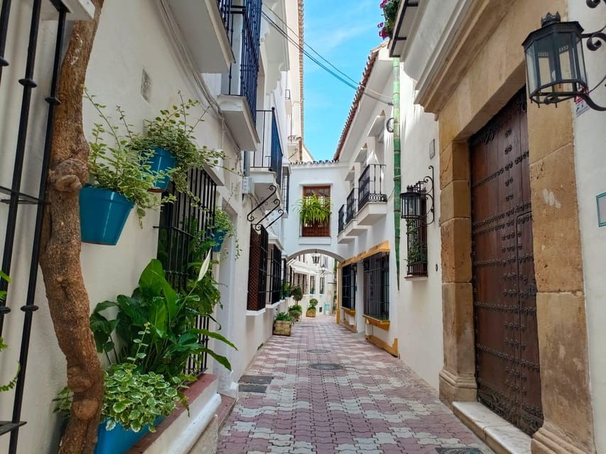 Marbella Private Tour & Puerto Banus to Walk on Your Own - Tour Overview and Pricing