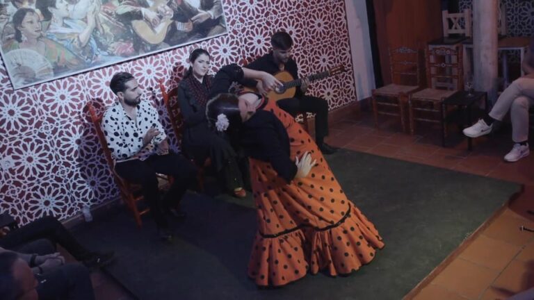 Mariscal Flamenco Show With Drink in Santa Cruz