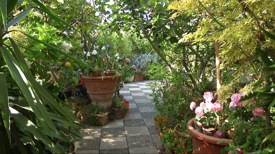 Milan: Cooking Class:Pasta, Ravioli, Gelato in a Unique Home - Experience the Art of Italian Cooking