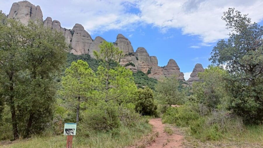 Montserrat: Monastery & More! Tailored Private Tour - Tour Overview