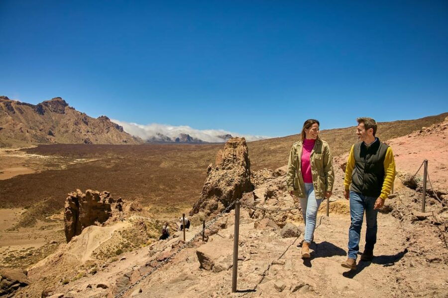 Mount Teide: Day Trip to Volcano Teide Without Cable Car - Tour Overview and Pricing