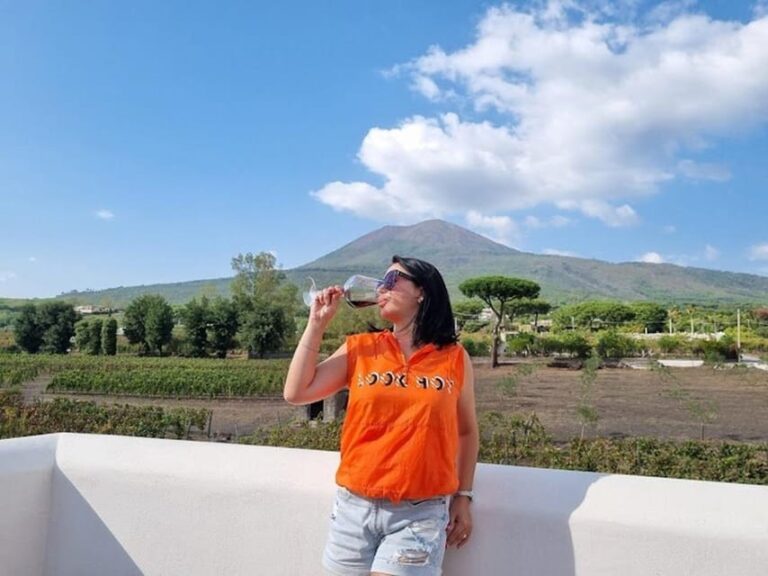 Mount Vesuvius: 5 Wine Tastings With Tour & Lunch Included