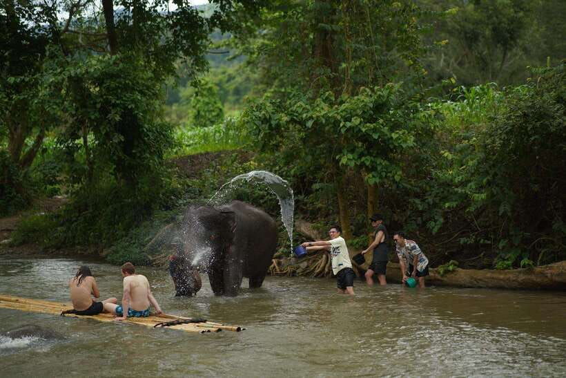 No.1 ATV 3 Hrs Mae Wang,Elephant Feeding&Rafting&Waterfall - Tour Overview