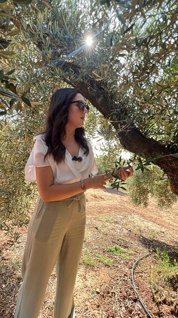 Oro Bailén: Tour of Oro Bailen Grove + Mill + Tasting