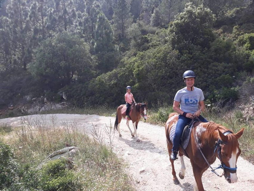 Orosei: Horseback Riding in the Irgoli Area - Experience the Beauty of Irgoli