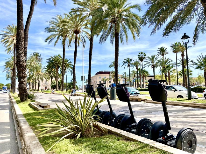 Palma: Best of Palma 90-min Segway Tour - Discover Palma Cathedral
