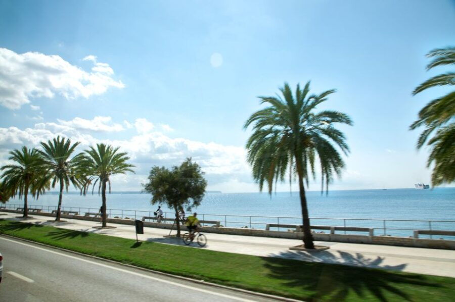 Palma De Mallorca: Full-Day Tour With Departure Options - Tour Overview and Pricing