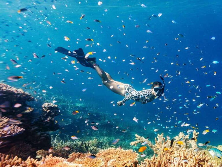 Phuket: Phi Phi, Maya and Khai Or Bamboo Island by Catamaran