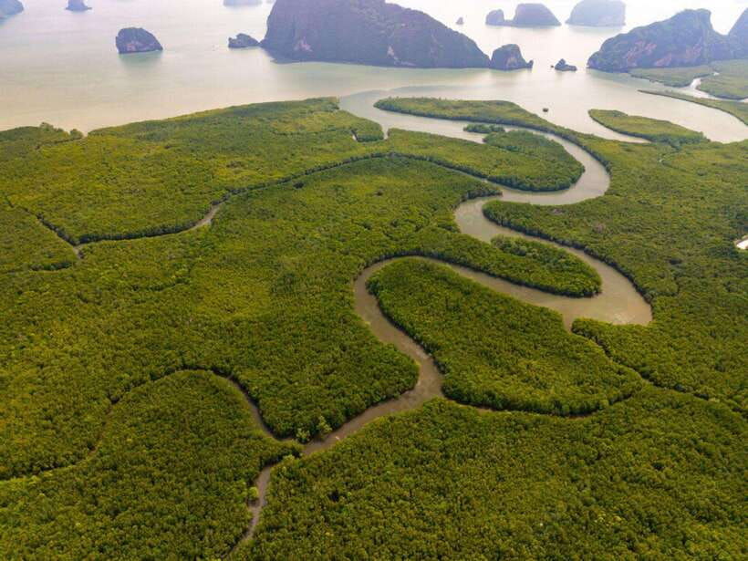 Phuket : Samet Nangshe and Cheow Lan Lake Adventure Day Tour - Tour Overview and Pricing