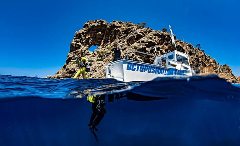 Port of Soller: Train and Discover Scuba Diving