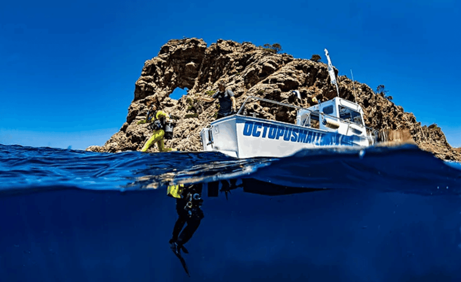 Port of Soller: Train and Discover Scuba Diving - Explore the Port of Soller