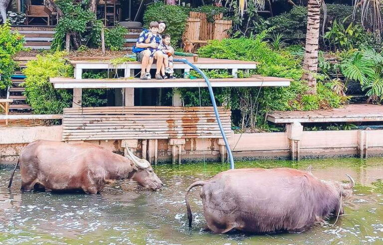Private 4 IG Café Tour in Nakhon Pathom From Bangkok