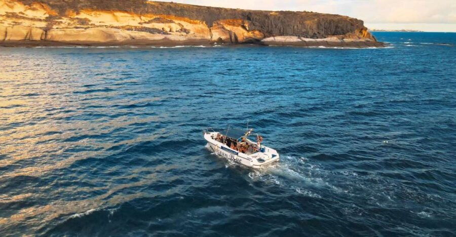 Private Charter Private Charter to See the Whales - 2 Hours - What to Expect