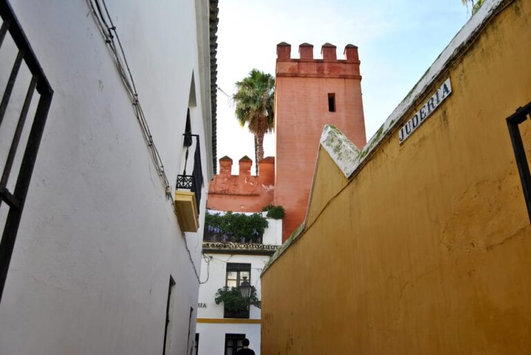 Private Guided Tour of Complete Seville and Jewish Quarter