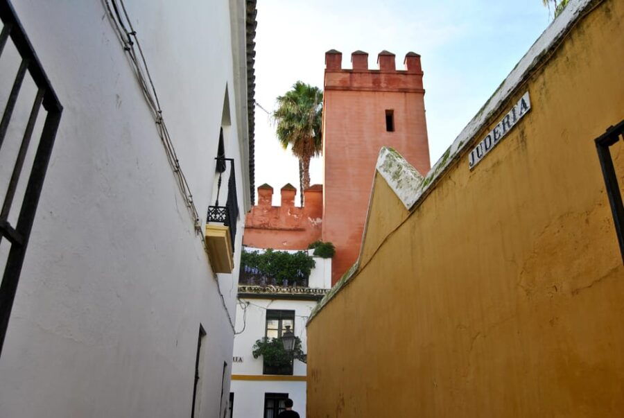 Private Guided Tour of Complete Seville and Jewish Quarter - Seville Cathedral and the Giralda