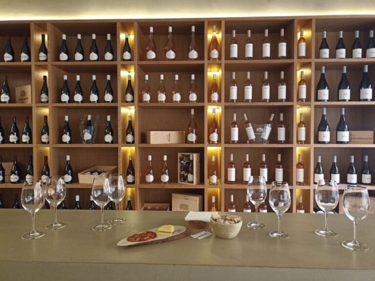 Private Tour Alentejo: Évora, WineTasting and Monsaraz