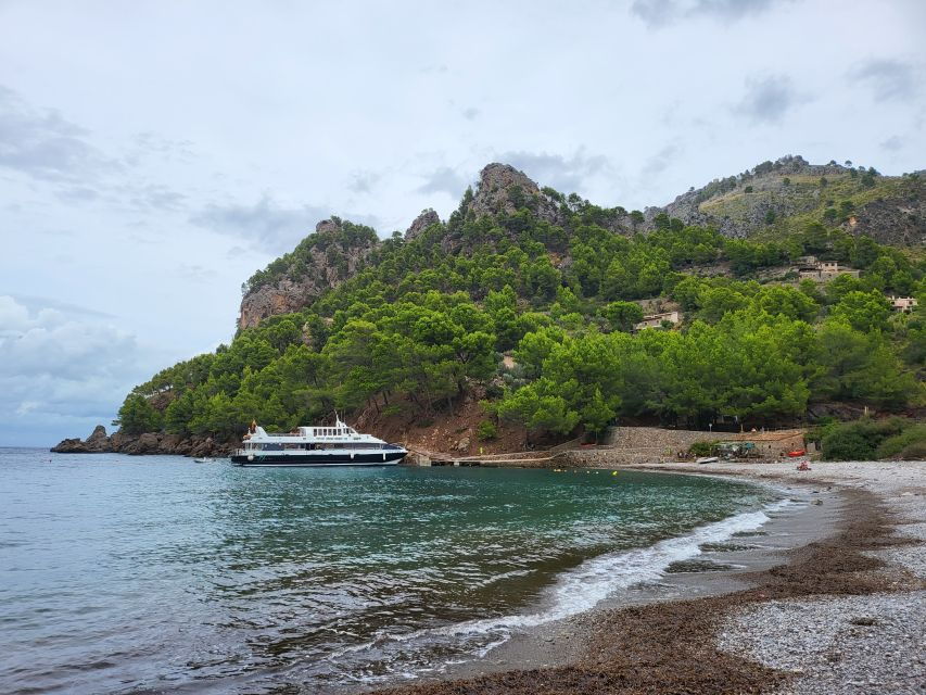 Puerto De Sóller: Cala Tuent Return Boat Trip - Trip Overview