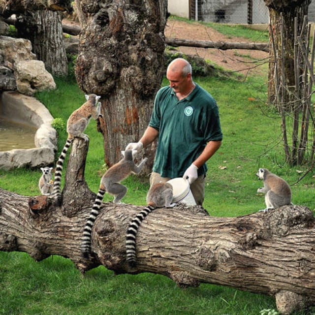 Rome: Entrance Ticket to the Zoo+Golf Cart Tour of Villa Borghese
