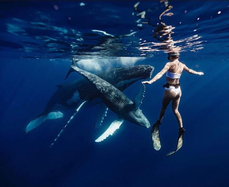 Sail the Canaries: Nature, Culture, and Culinary Delights - An Exhilarating Sailing Adventure