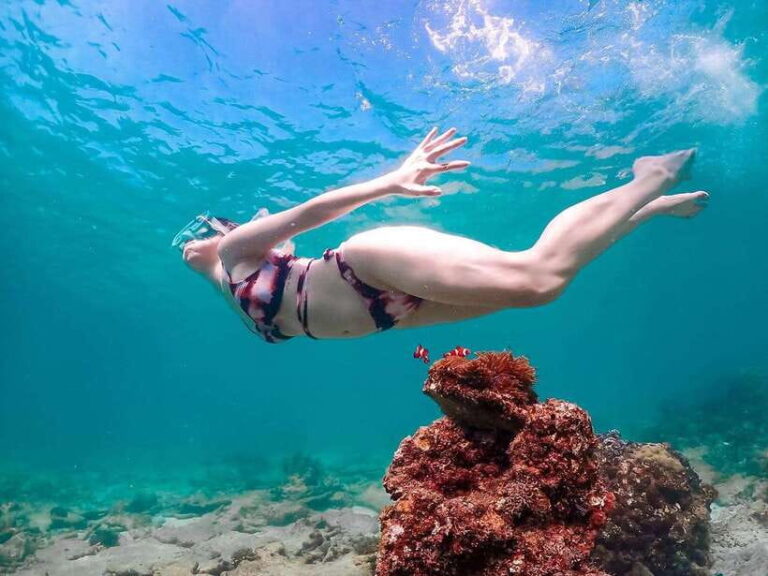 Samaesarn : Finding Nemo Snorkeling Tour Private Speedboat